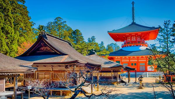 Mount Koya